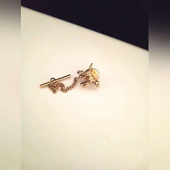 TieTack Vintage Irish Setter Golden Retriever Hunting Dog Groomer Gift - Picture 4 of 4